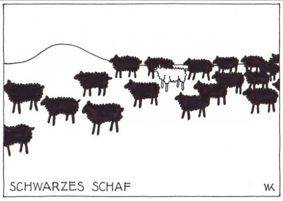 Schwarzes Schaf -.jpg