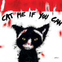 Cat(ch) me if you can