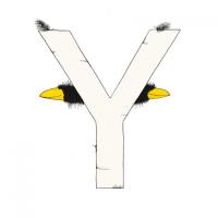 Das Große Rabenalphabet "Y"