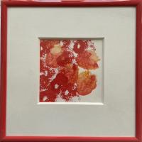 Poppies