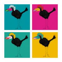 Pop Art Bird